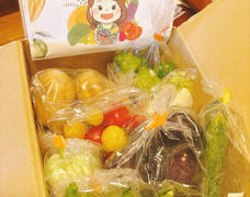盛りだくさんのお野菜