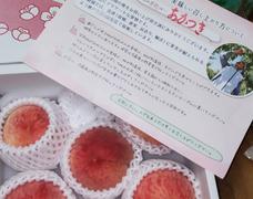 夢の桃食べ放題