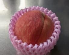 美味しい