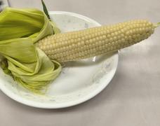 とうもろこし大好き