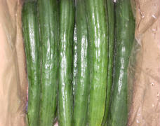 美味しいきゅうり🥒