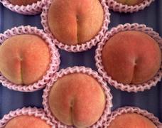 桃好きは食べるべき🍑