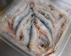 濃厚なみそと歯ごたえ良い胸周り