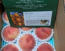 甘くて美味しい