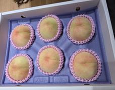 和歌山の奇跡の桃🍑