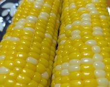 大満足です🌽