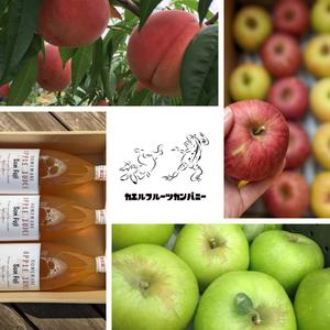 カエルフルーツカンパニー