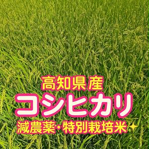 高知県産コシヒカリ農家直送販売所🌾