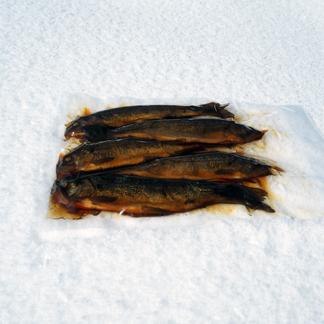 ニジマス甘露煮大サイズ５尾入 １パック 魚介類 川魚 産直アウル Owl 農家から直接野菜などの食材を購入できる産地直送の宅配通販サイト