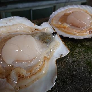 活！『殻付きホタテ 2Lサイズ6枚』 今シーズン1月17日お届けまで ヘラ  