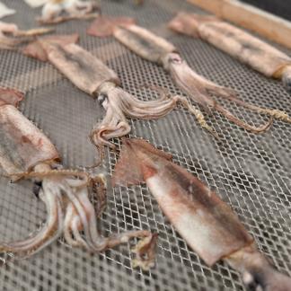 真いかするめ足【2kg】Sサイズ 血なまぐさく
