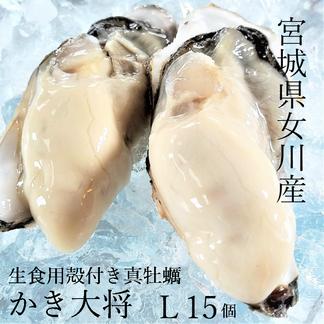 個性的な各種巻き貝厳選18個 イガタマキビ【2cm前後/5個入】[メール便