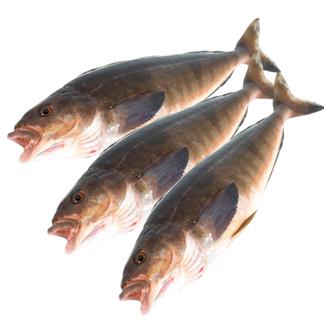 北海道産真ほっけ姿 鱗 内臓処理済み 食品販売事業者 お取り寄せ 産直アウル Owl 農家から直接野菜などの食材を購入できる産地直送の宅配通販サイト