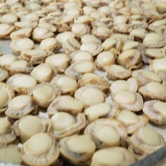 高たんぱく質栄養満点食材 青森県産ボイルほたて 魚介類 ホタテ 産直アウル Owl 農家から直接野菜などの食材を購入できる産地直送の宅配通販サイト