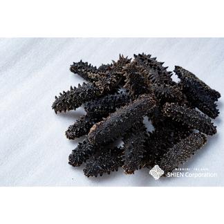 利尻島産 乾燥なまこ １００ｇ 魚介類 その他魚介の加工品 産直アウル Owl 農家から直接野菜などの食材を購入できる産地直送の宅配通販サイト