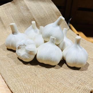 にんにく 令和6年度 青森県産 1kg ホワイト六片種 Mサイズ以上大玉混合
