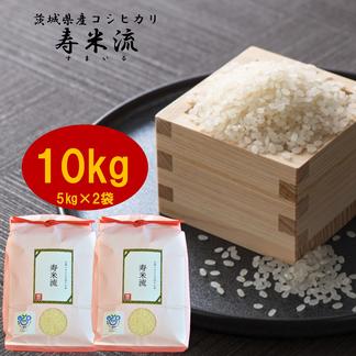 令和6年　新米コシヒカリ　玄米30キロ　冷蔵庫保存 令和6年 新米コシヒカリ 玄米30キロ 冷蔵庫保存