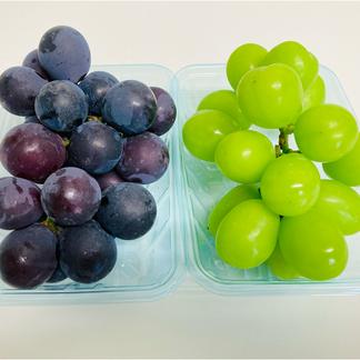 シャインマスカット＆巨峰 セット ご家庭用 大房 2房 約700g 高級 箱 