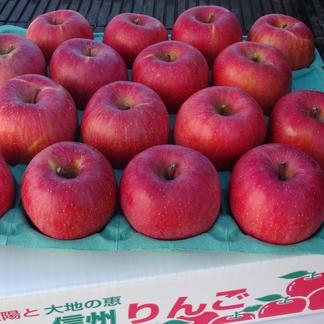 長野県産新鮮サンザシ10kg(中大粒) 酸っぱい 