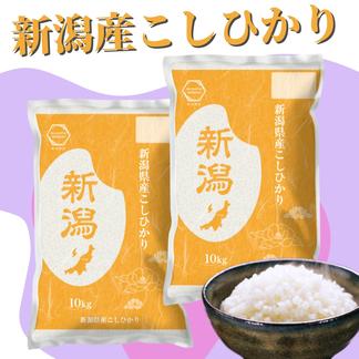 新米　令和6年産　新潟産こしひかり　20ｋｇ（10ｋｇ×2）　精米 20ｋｇ 米・穀物/米/精米通販