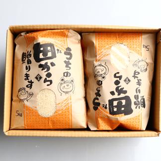 米 10キロ 5キロ×2袋セット 山形県産 つや姫 即日発送 特別栽培米山形