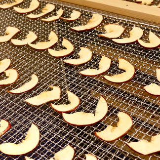 季節限定！数量限定！もりおちゃんちのほしりんご🍎 40グラム 果物/果物の加工品通販