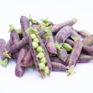 クール冷蔵便 ツタンカーメンえんどう豆900g 野菜 豆類 産直アウル Owl 農家から直接野菜などの食材を購入できる産地直送の宅配通販サイト