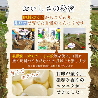 新にんにく（生にんにく）】『農薬・化学肥料・除草剤・防虫剤等不使用 