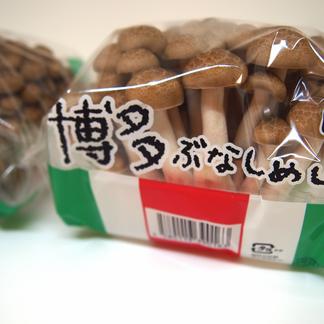 きのこの里 きのこ３種セット ２箱 野菜 セット 詰め合わせ 産直アウル 農家から直接野菜などの食材を購入できる産地直送の宅配通販サイト