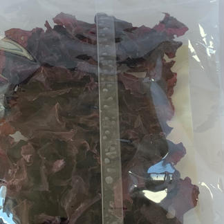 利尻島産天然銀杏草 18g 魚介類/海藻通販