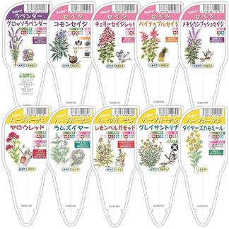 ハーブ苗おまかせ9種セット 鑑賞用 その他 花 植物 産直アウル 農家から直接野菜などの食材を購入できる産地直送の宅配通販サイト
