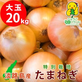 新発売 淡路島産たまねぎ 玉ねぎ タマネギ 野菜 野菜 Adbang Madiunkota Go Id
