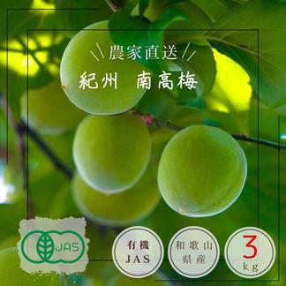 【特別栽培】紀州南高梅　青梅（訳あり）3kg～　予約販売 8kg 果物/青梅通販