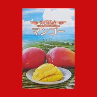 沖縄 訳あり家庭用ミニマンゴー 7kg クール便 厳つ