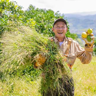 ふれあい農園の柚子果汁 720ml6本入り 無添加 栽培期間農園不使用