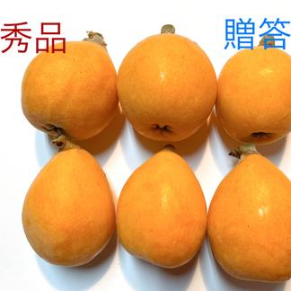 幻の味 興津びわ 田中ビワ 贈答用に優秀品 1週間限定販売 ２lサイズ４パック箱入り 果物 びわ 産直アウル 農家から直接野菜などの食材を購入できる産地直送の宅配通販サイト