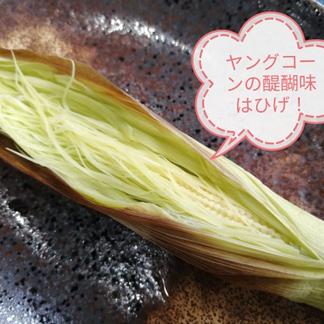 45 50本ひげ付きヤングコーン 80サイズ箱満タン 野菜 とうもろこし 産直アウル 農家から直接野菜などの食材を購入できる産地直送の宅配通販サイト