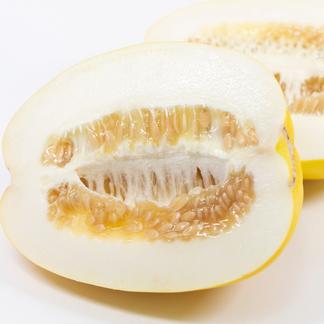 6月中下旬予約みかんのそばでおいしい シャクっとまくわうり ２玉入 梨瓜 果物 メロン 産直アウル 農家から直接野菜などの食材を購入できる産地直送の宅配通販サイト