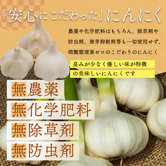 ☆『農薬・化学肥料・除草剤・防虫剤等不使用』 福地ホワイト六片 