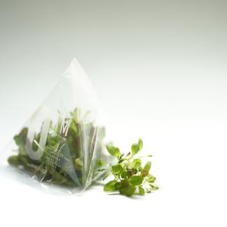 レッドオーク リーフレタス マイクログリーン 7ｇ 野菜 その他野菜 産直アウル 農家から直接野菜などの食材を購入できる産地直送の宅配通販サイト