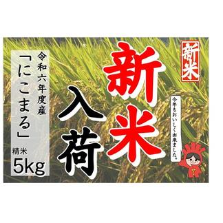 新米！内子からり米　令和6年産にこまる（精米5ｋｇ） 5ｋｇ 米・穀物/米/精米通販