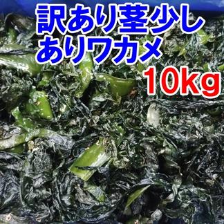 塩蔵わかめ 10kg入【見切り50％OFFセール中】塩蔵ワカメ B級品 訳 
