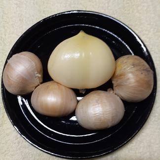 生ジャンボにんにく·大中小バラ10キロ 生ジャンボにんにく·大中小バラ10キロ