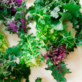 プチヴェール 3色セット 600g 野菜 キャベツ 産直アウル Owl 農家から直接野菜などの食材を購入できる産地直送の宅配通販サイト