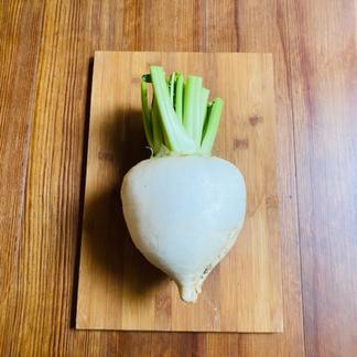 ピーチ様 専用 公式】Peach ピーチ | Peach Aviation株式会社