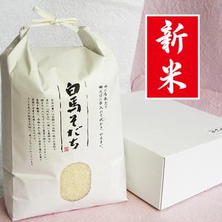 予約販売】つきあかり(20kg) 【令和6年産新米】【慣行栽培米】 9月  