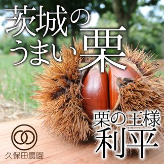 茨城のうまい栗（利平） 約3kg  約3kg 果物/栗通販