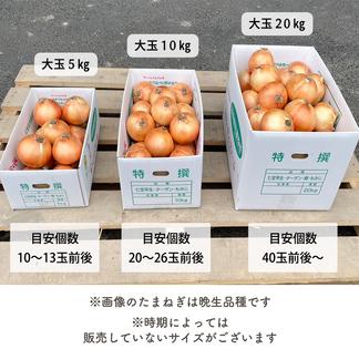 大玉サイズ】淡路島産新たまねぎ 【10kg】 早生七宝 兵庫県認証食品 