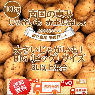 大きいじゃがいも！ BIG(ビッグ)サイズ混合 2L以上～10kg 新じゃがいも 