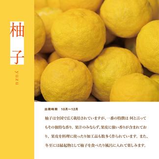 大分県宇佐市産 柚子（ユズ）【標準品】4kg（ 約30～48）【送料込】 4kg 果物/香酸柑橘(ライム・レモン等)通販